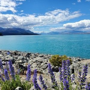 Meet your Posher, Tracy